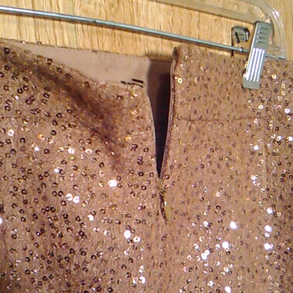Ann Taylor Loft sequence Mini skirt - Picture 2 of 8